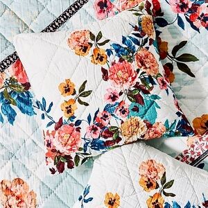 Anthropologie Kachel Cassatt Collection Euro Sham